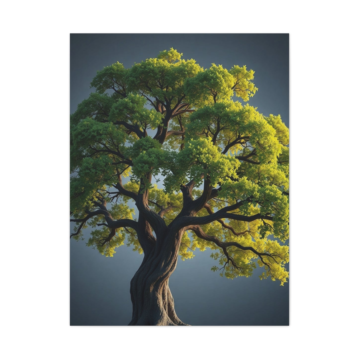Supreme Oak Tree Art Wall Art & Canvas Print