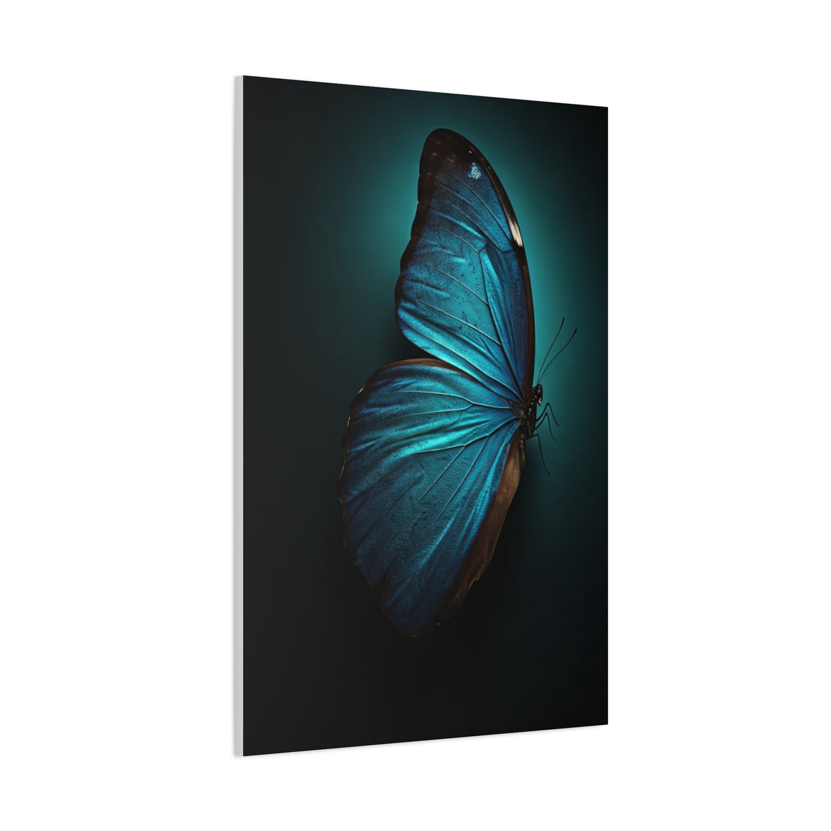 Blue Morpho Butterfly Side Profile Study Wall Art & Canvas Prints