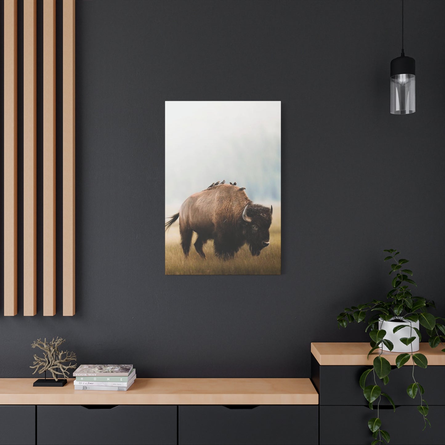 Bison Carrying Birds Wall Art & Canvas Prints