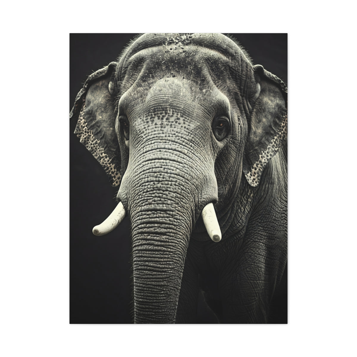 Regal Elephant Close-Up Wall Art & Canvas Prints