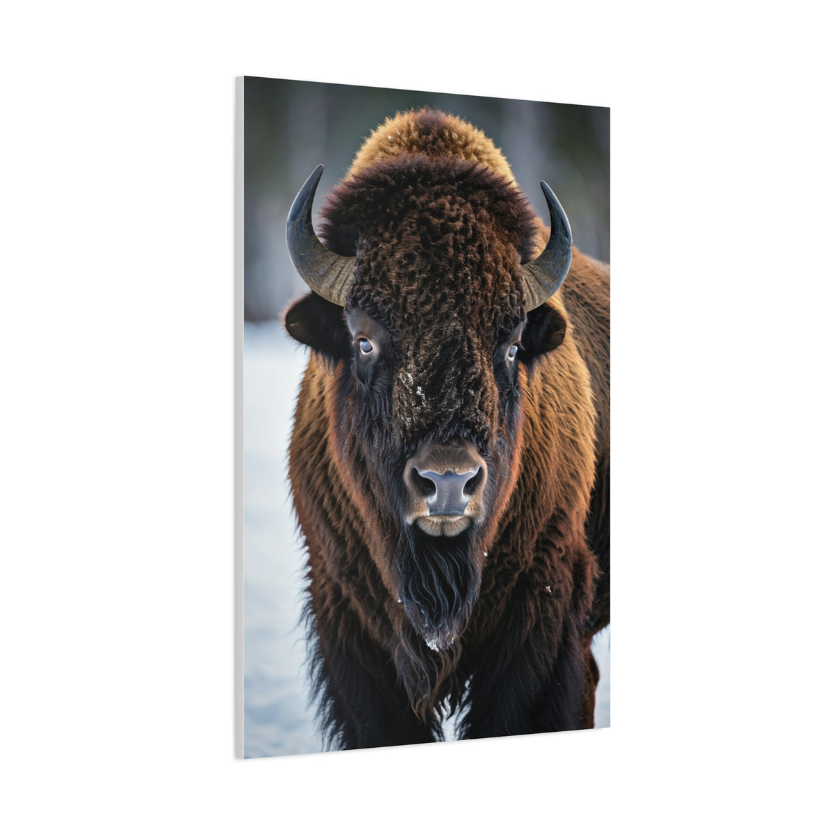 Minimalist American Bison Portrait on Light Background Wall Art & Canvas Print