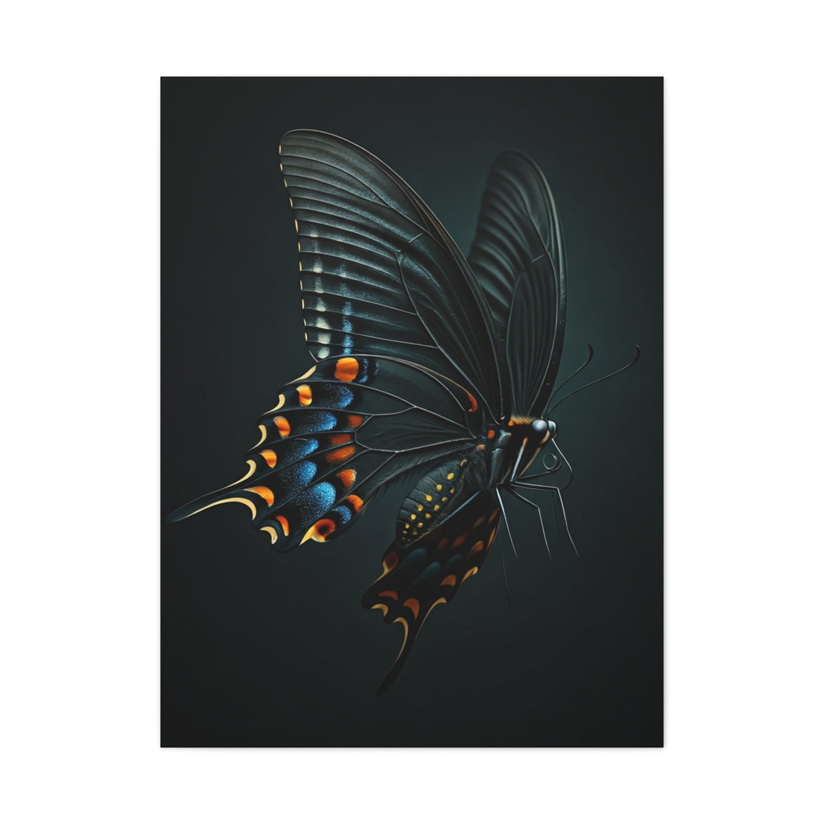 Dark Swallowtail Butterfly in Flight Wall Art & Canvas Prints