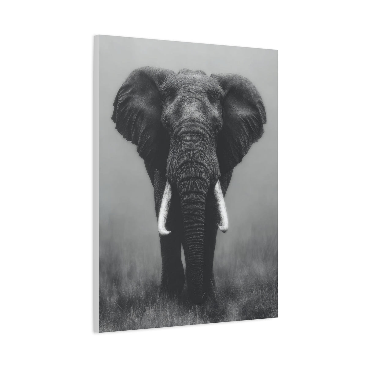 Black and White Elephant Portrait Wall Art & Canvas Prints