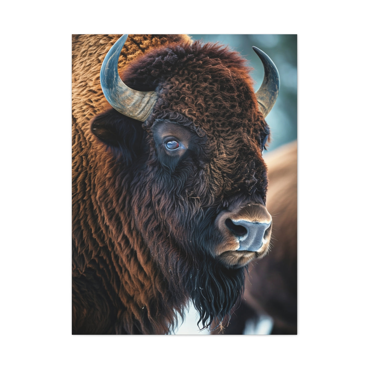 Three-Quarter Angle American Bison with Soft Natural Backdrop Wall Art & Canvas Print