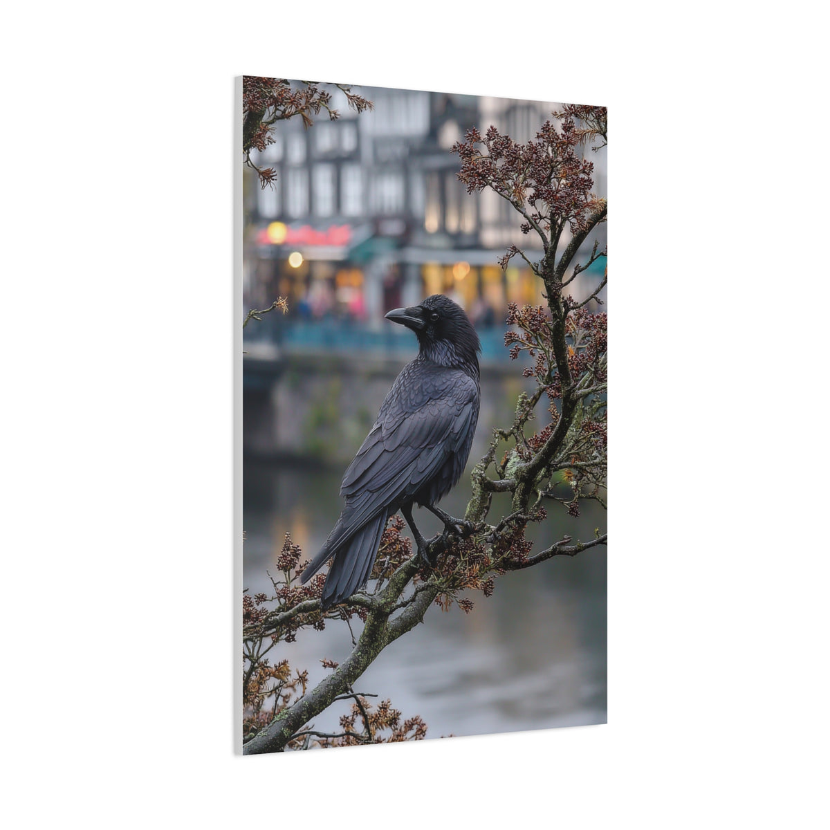 Raven on a Tree Branch Wall Art & Canvas Print