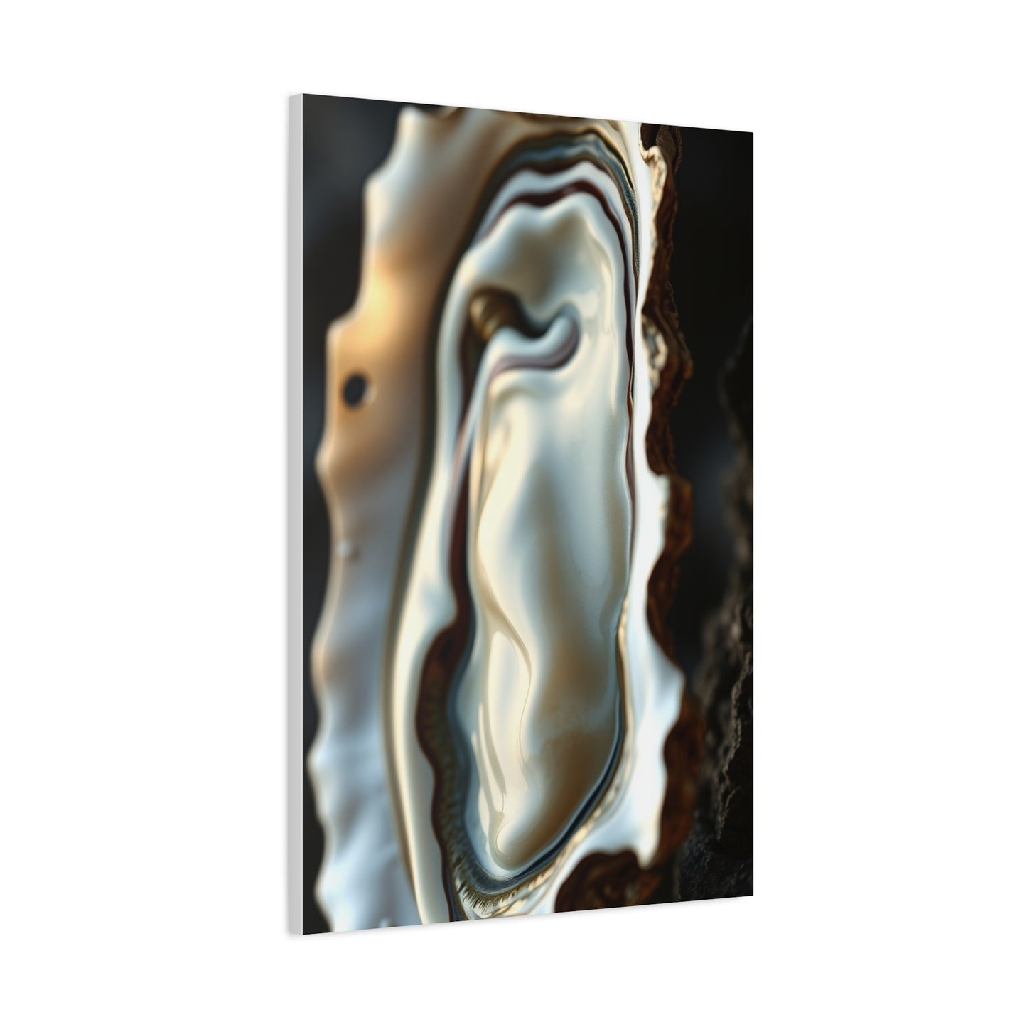 Collection Oyster Art Art Wall Art & Canvas Print