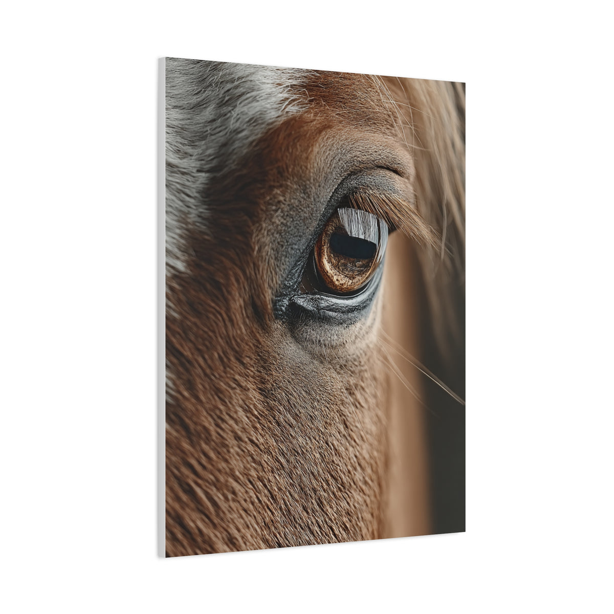 Horse Eye Macro Emotional Detail Wall Art & Canvas Print