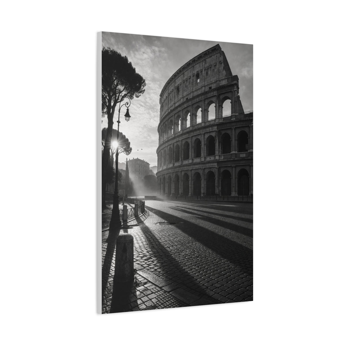 Colosseum Morning Light Monochrome Wall Art & Canvas Print