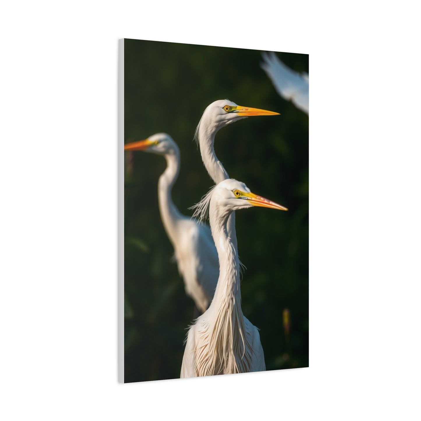 Herons and Egrets Art Supreme Gallery Wall Art & Canvas Print