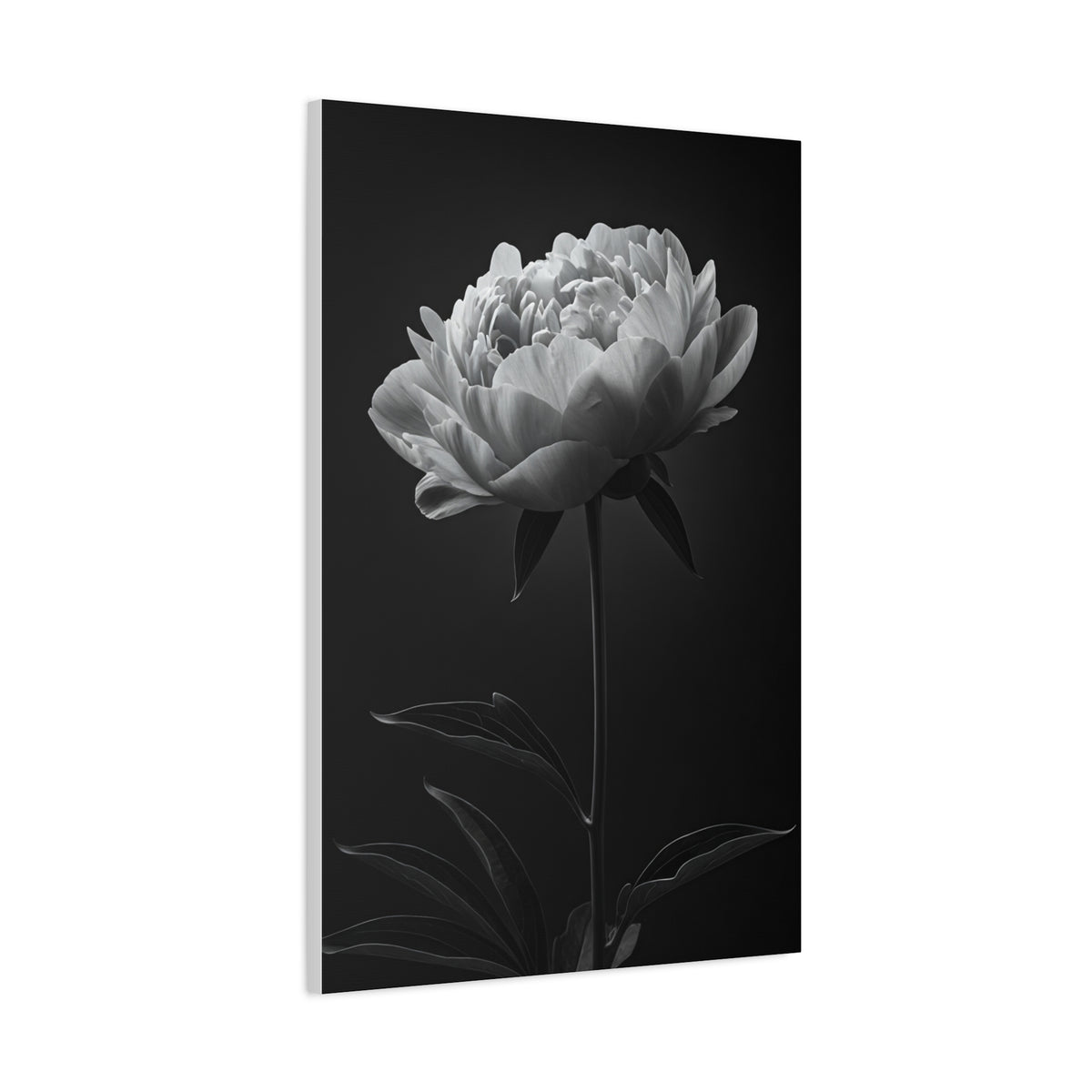 Peony Elegance in Monochrome Wall Art & Canvas Prints