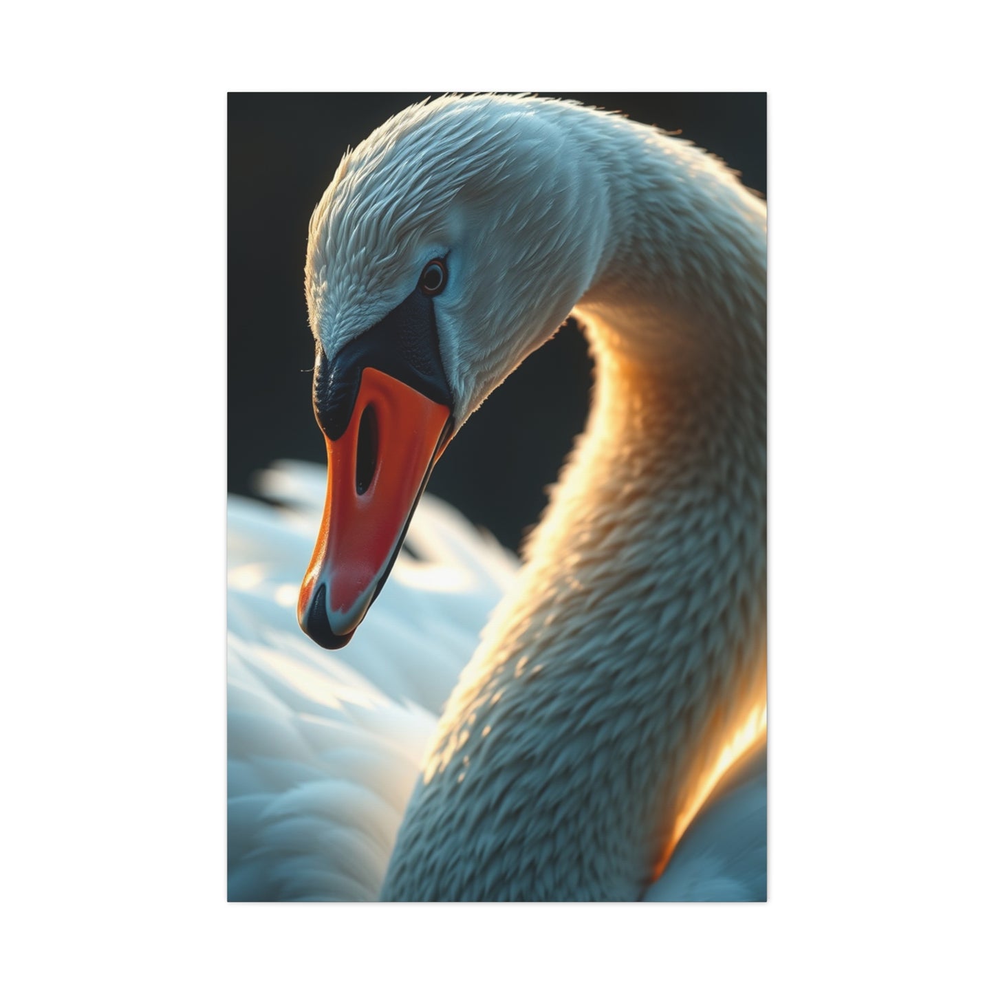 Supreme Swan Art Collection Wall Art & Canvas Print