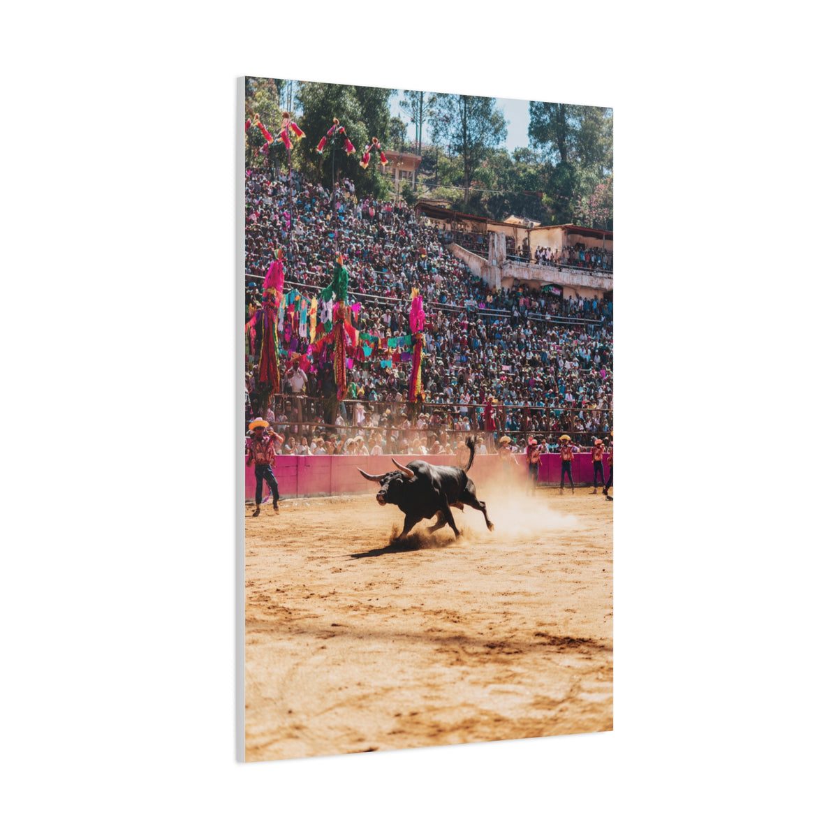 Latin American Bull Festival Arena Wall Art & Canvas Print