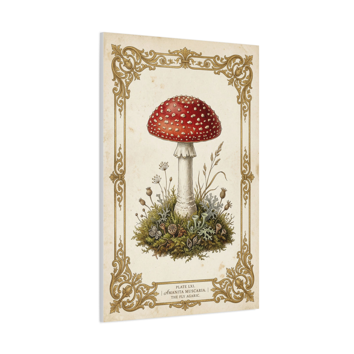 Victorian Botanical Mycology Plate Wall Art & Canvas Print