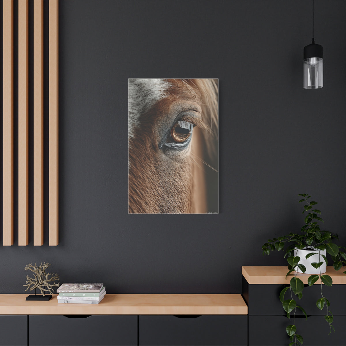 Horse Eye Macro Emotional Detail Wall Art & Canvas Print