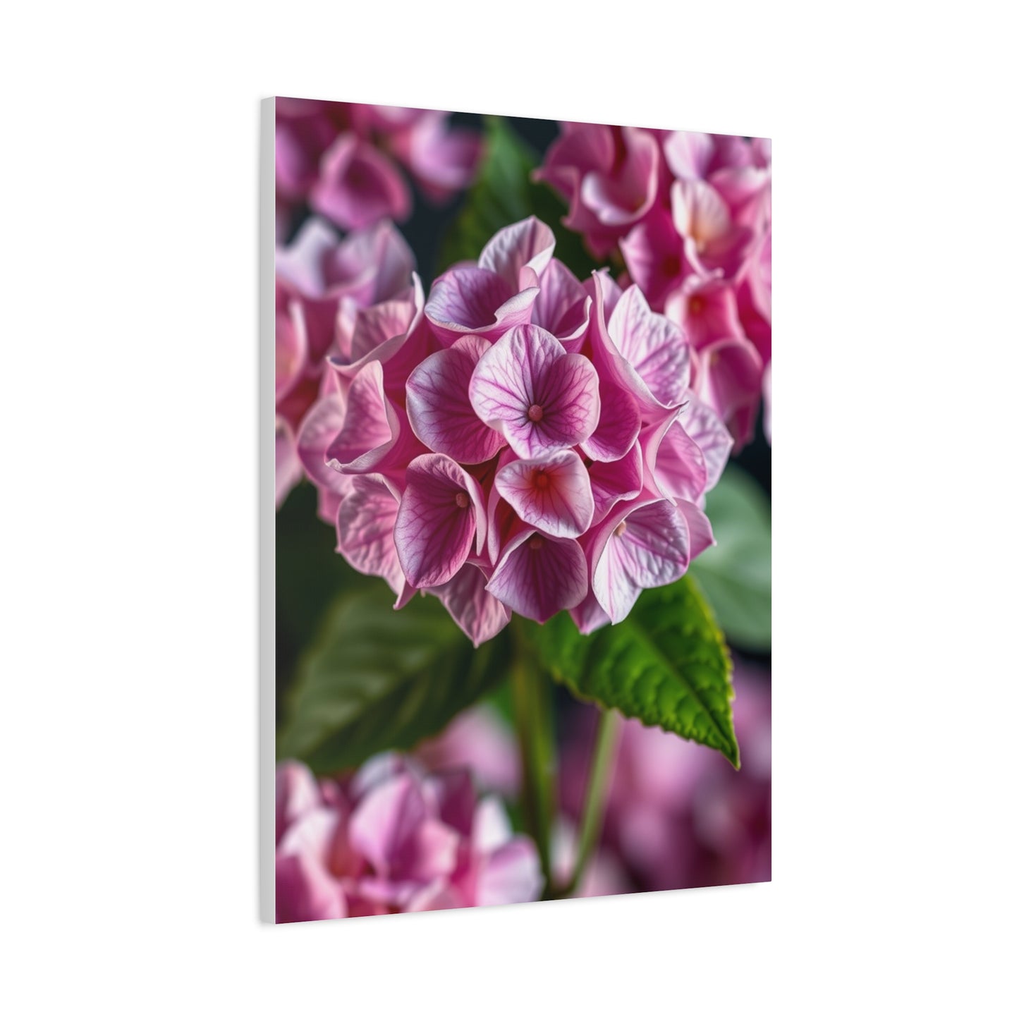 Supreme Hydrangea Flower Art Wall Art & Canvas Print
