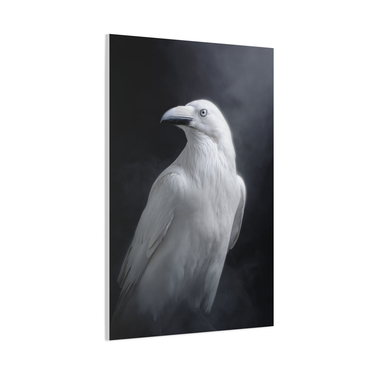 Elegant White Raven Portrait Wall Art & Canvas Print