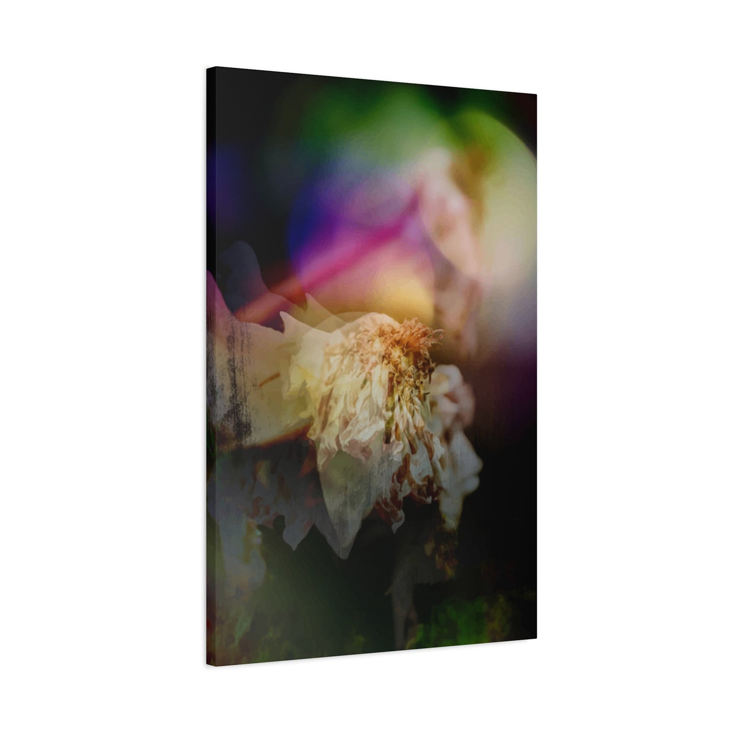 Valda's Wall Art & Canvas Prints