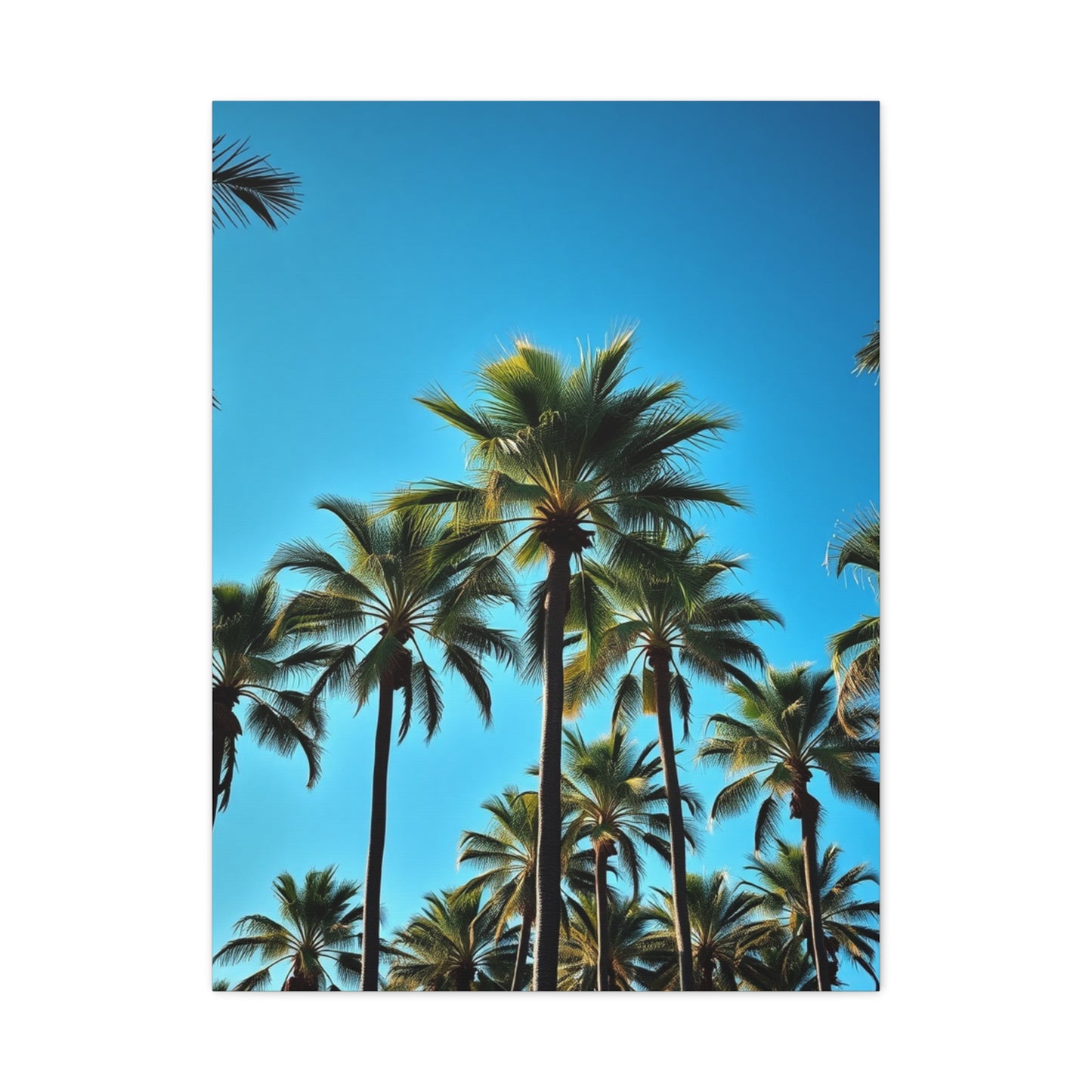 Tropical Serenity Art Wall Art & Canvas Print