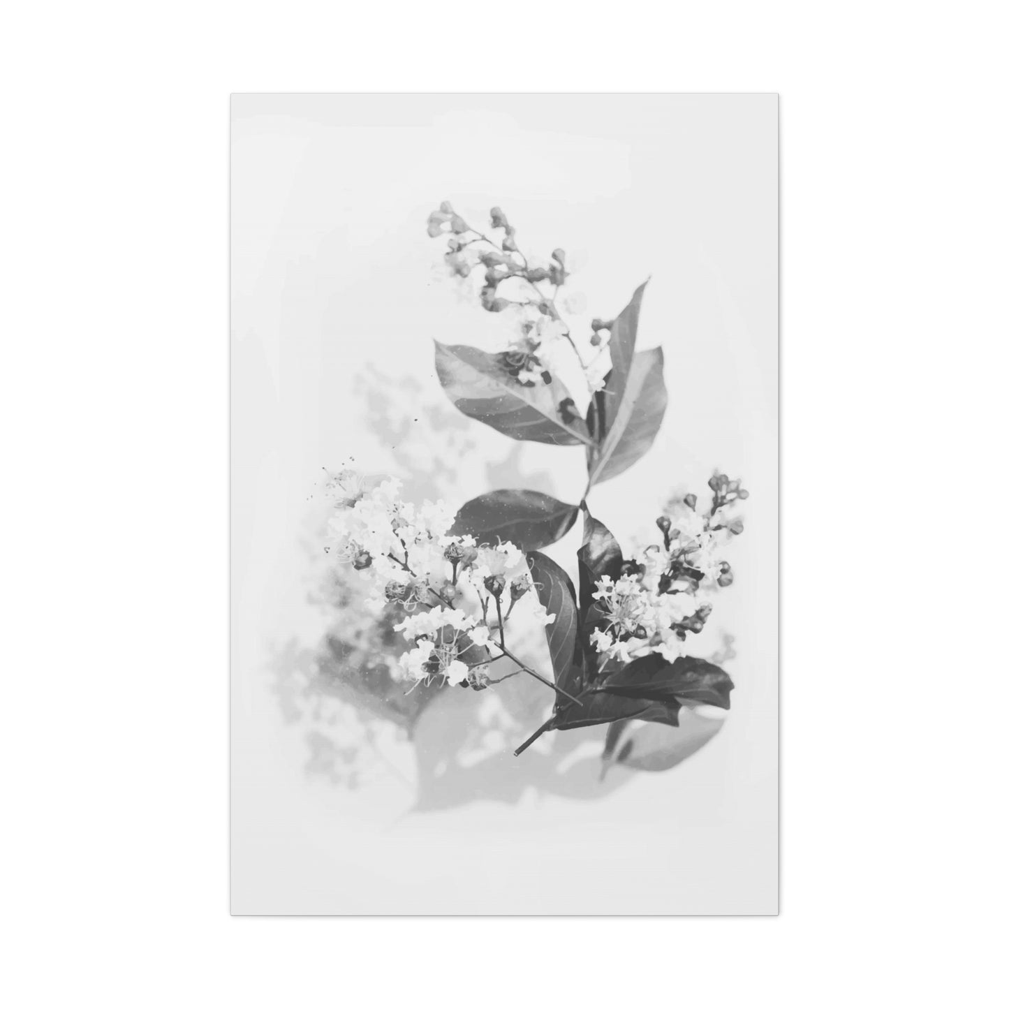 White Flora Wall Art & Canvas Prints