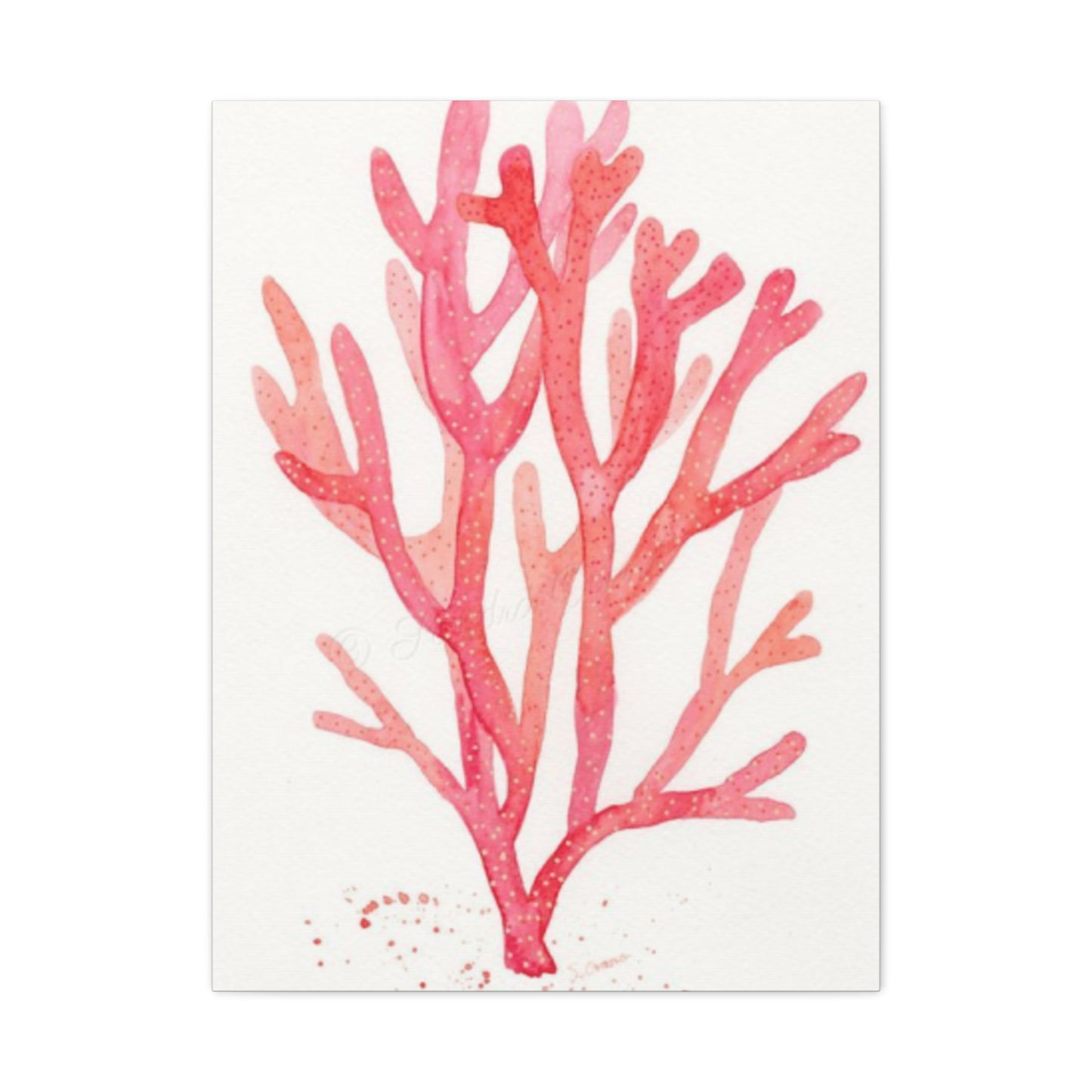 Pink Sea Coral Wall Art & Canvas Prints