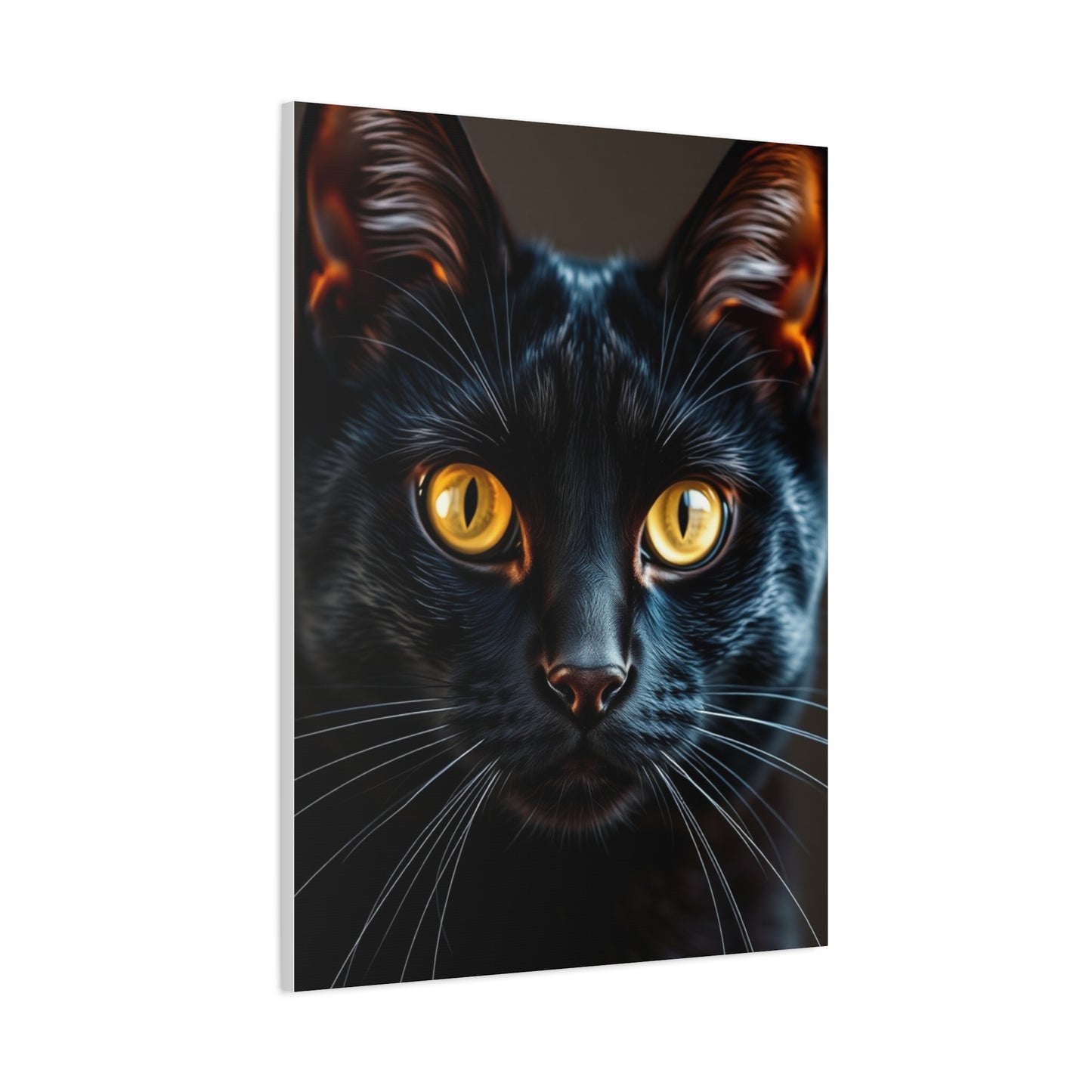 Black Cat Art Luxury Canvas Wall Art & Canvas Print