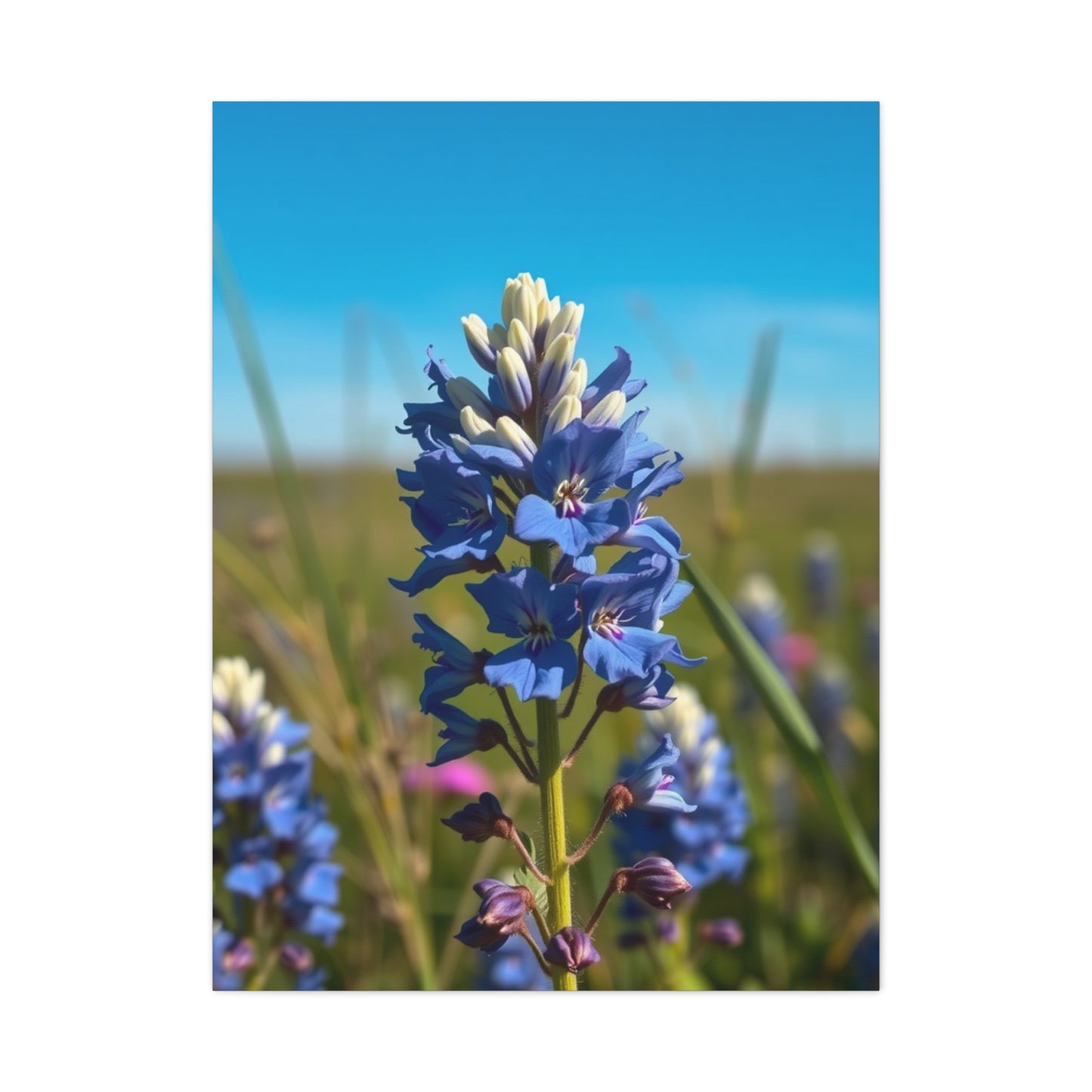 Bluebonnet Flower Art Supreme Canvas Gallery Wall Art & Canvas Print