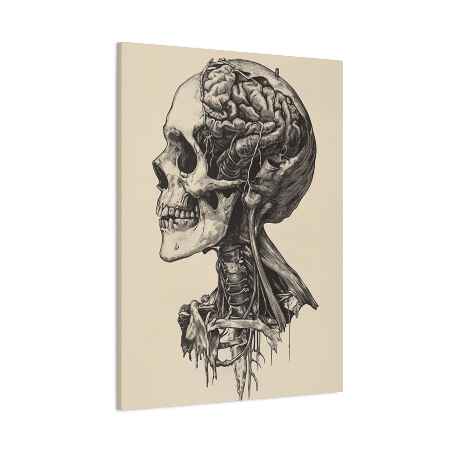 Brain In Skull Wall Art & Canvas Prints