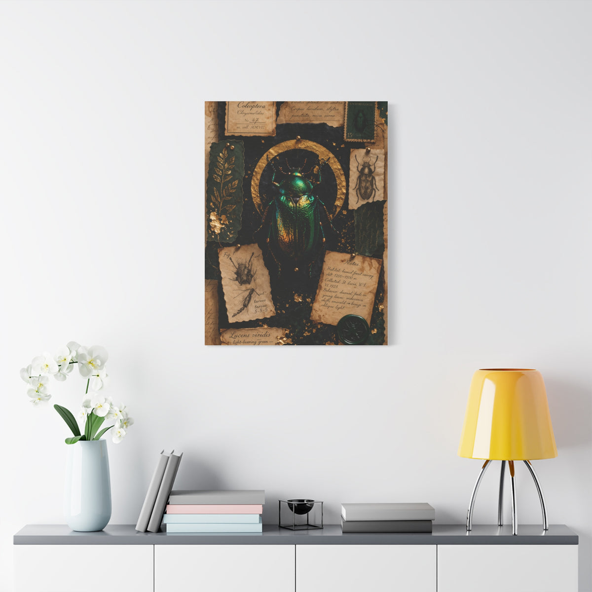 Cabinet of Curiosities Insect Study Wall Art & Canvas Print