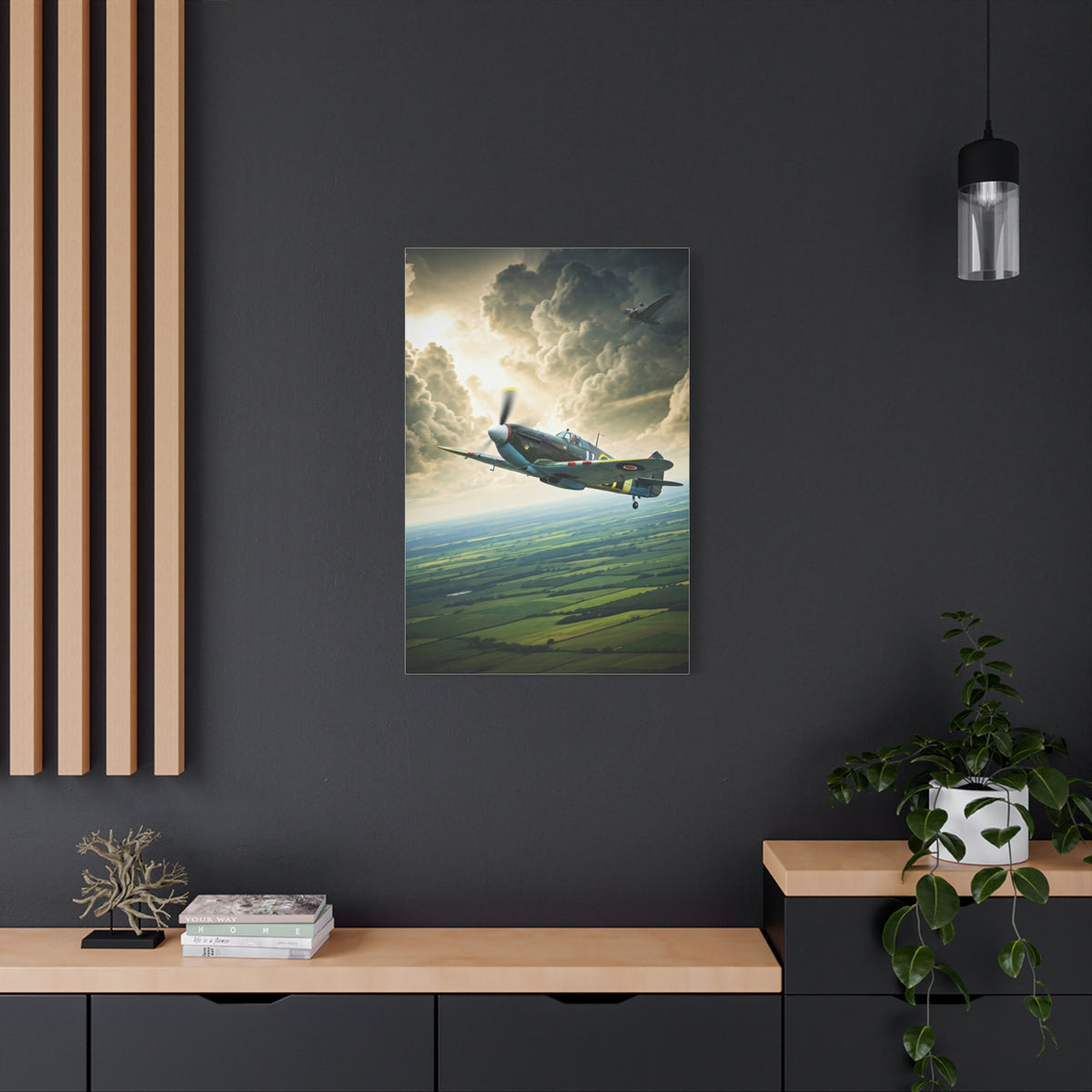 Classic Propeller Plane Over Open Fields Wall Art & Canvas Prints