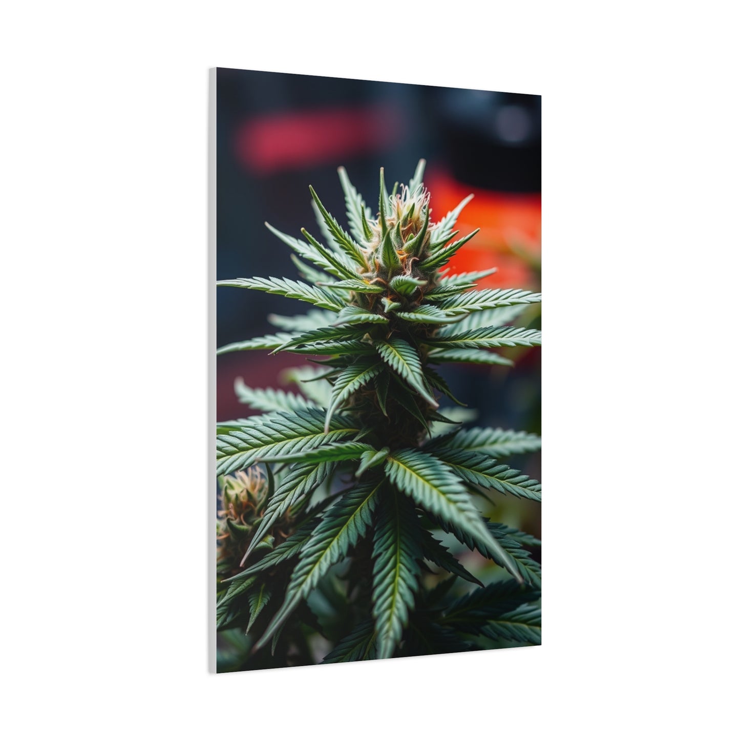 Herbaceous Ambience Gallery Wall Art & Canvas Print