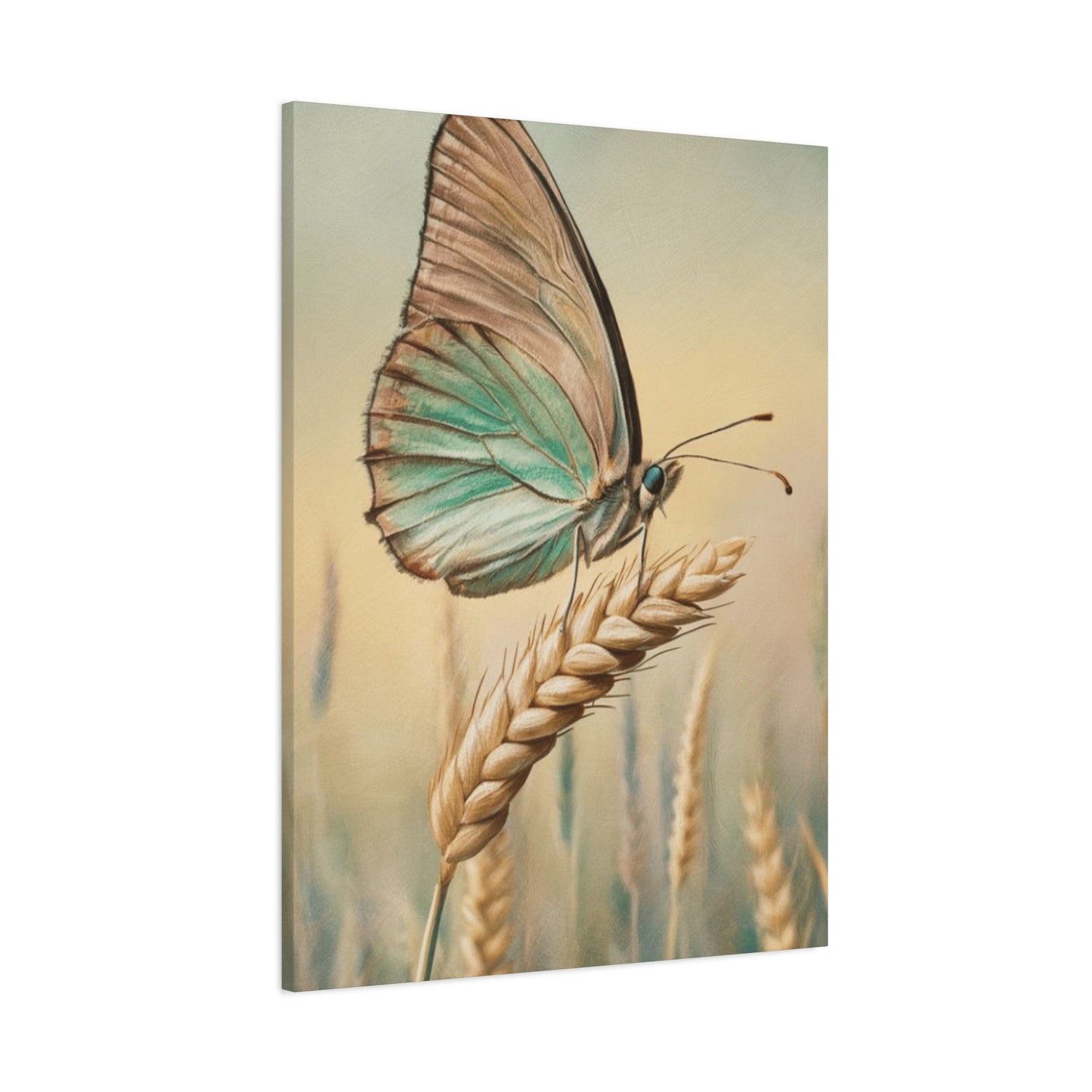 Butterfly on Wheat Crop Painting Wall Art & Canvas Prints