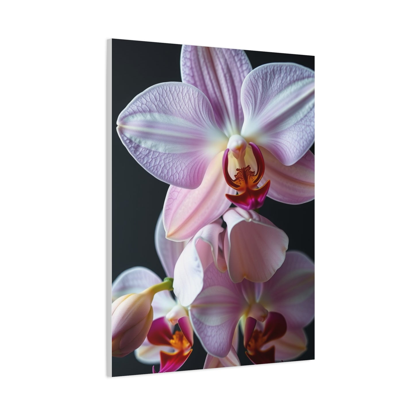 Collection Orchid Flower Art Art Wall Art & Canvas Print