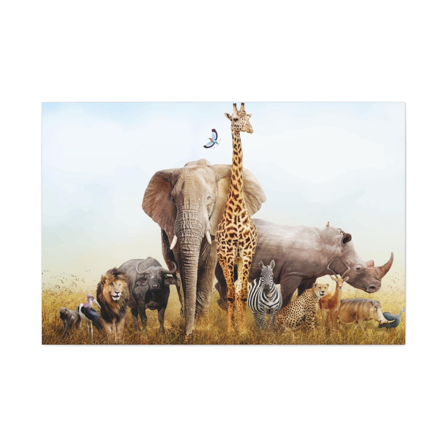 Animal Kingdom Wall Art & Canvas Prints