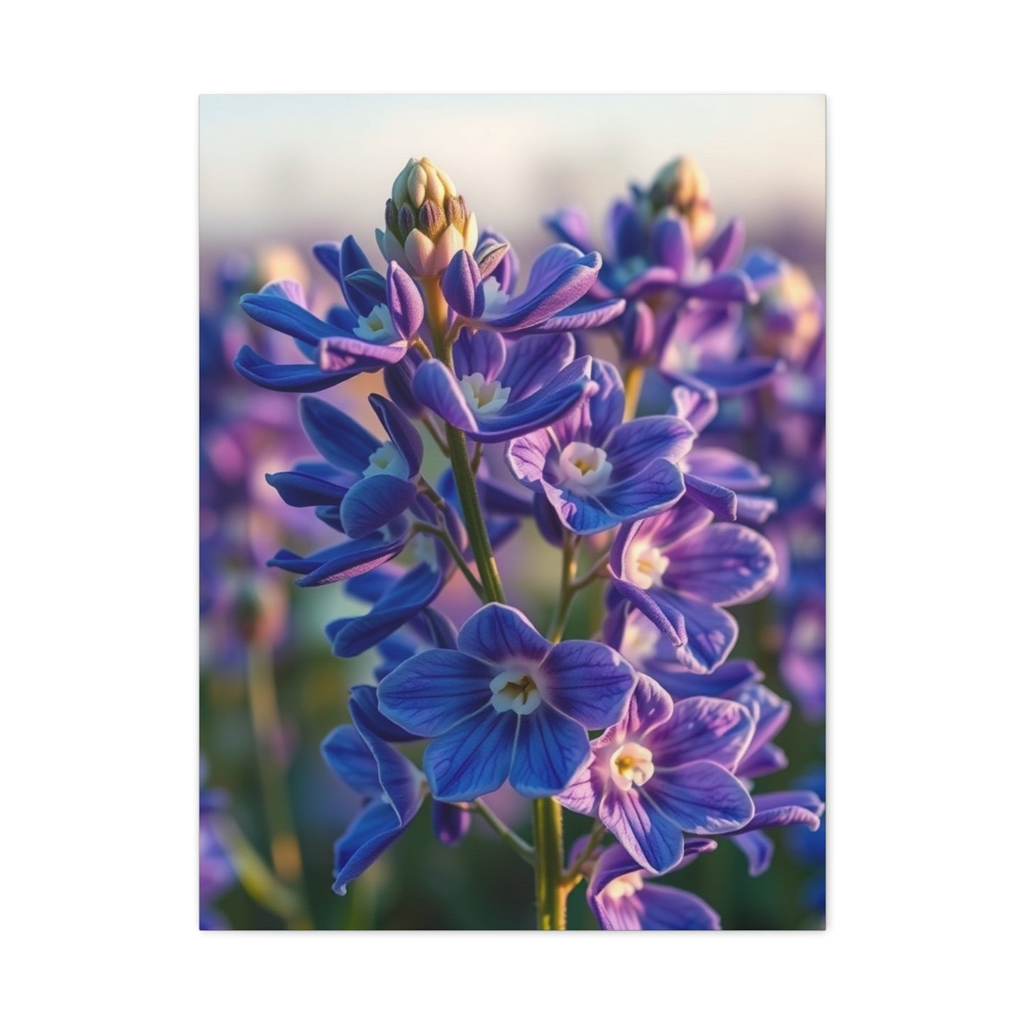 Supreme Bluebonnet Flower Art Collection Wall Art & Canvas Print