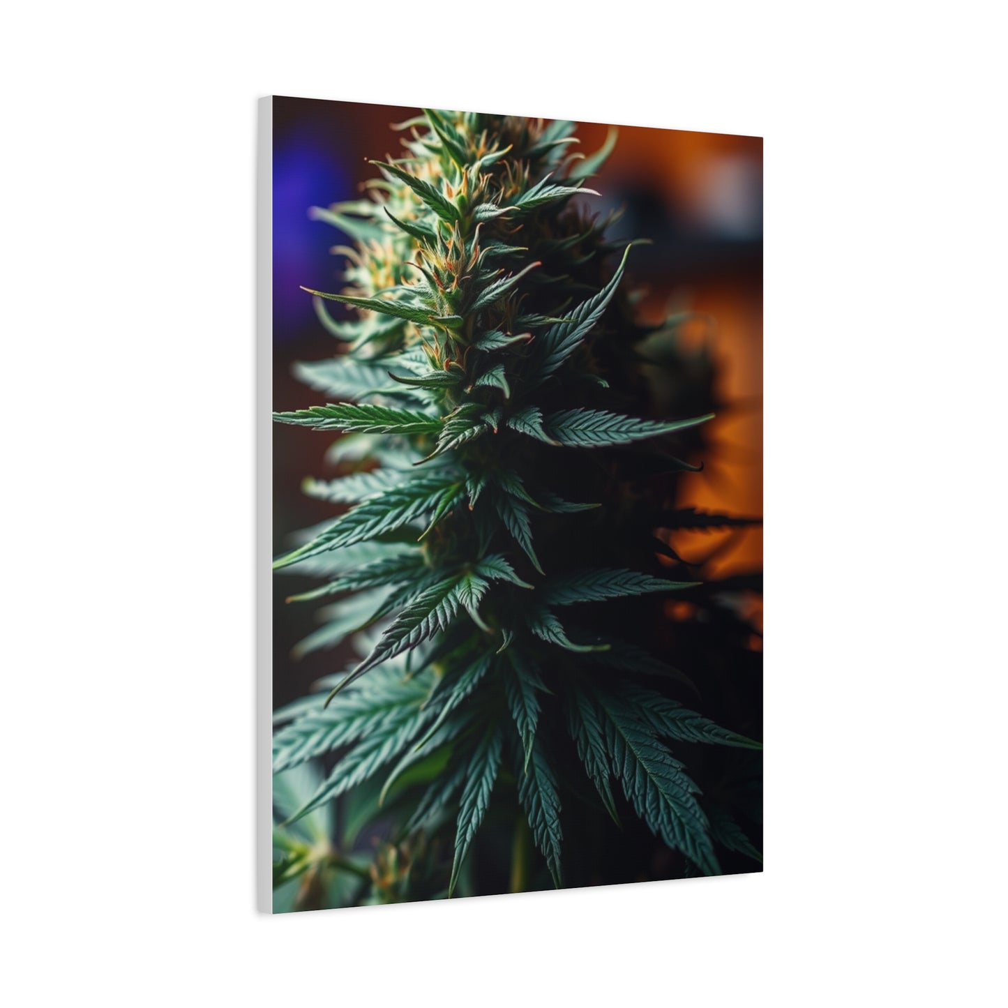 Herbal Opulence Wall Décor Wall Art & Canvas Print