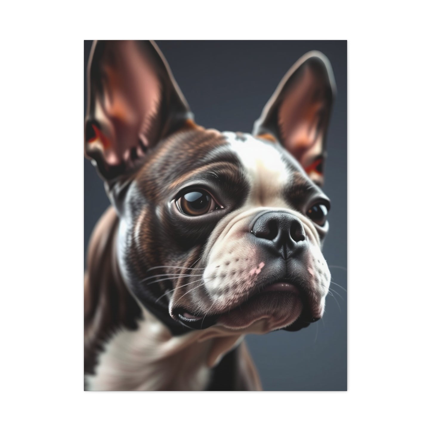 Boston Terrier Art Refined Canvas Wall Art & Canvas Print