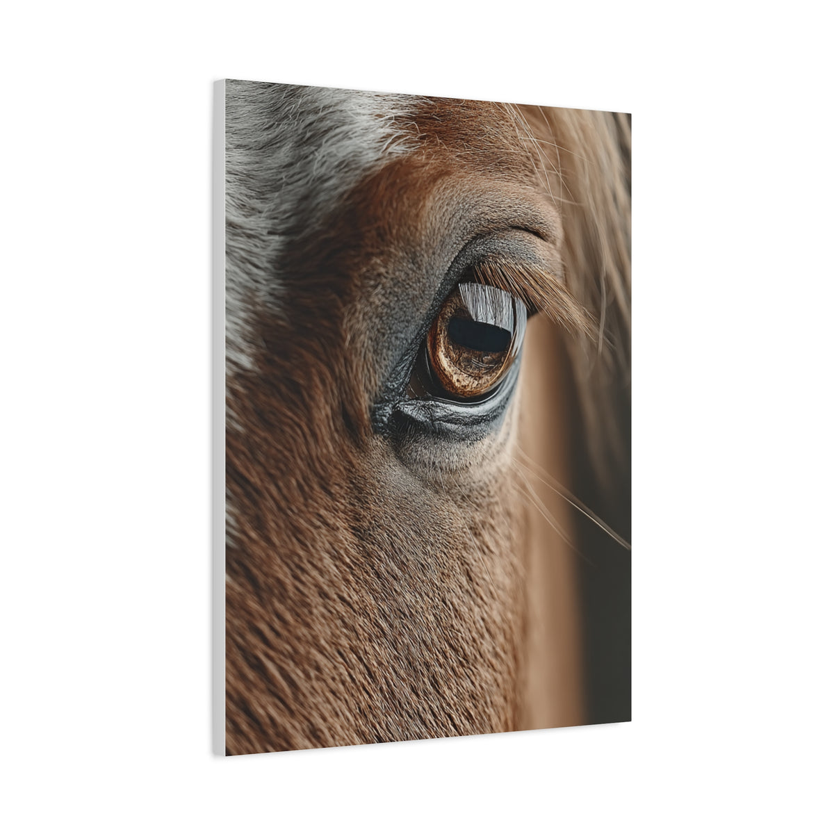 Horse Eye Macro Emotional Detail Wall Art & Canvas Print