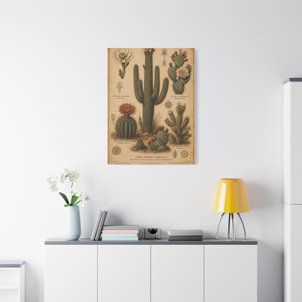 Vintage Desert Botanical Study Southwest Wall Art & Canvas Print