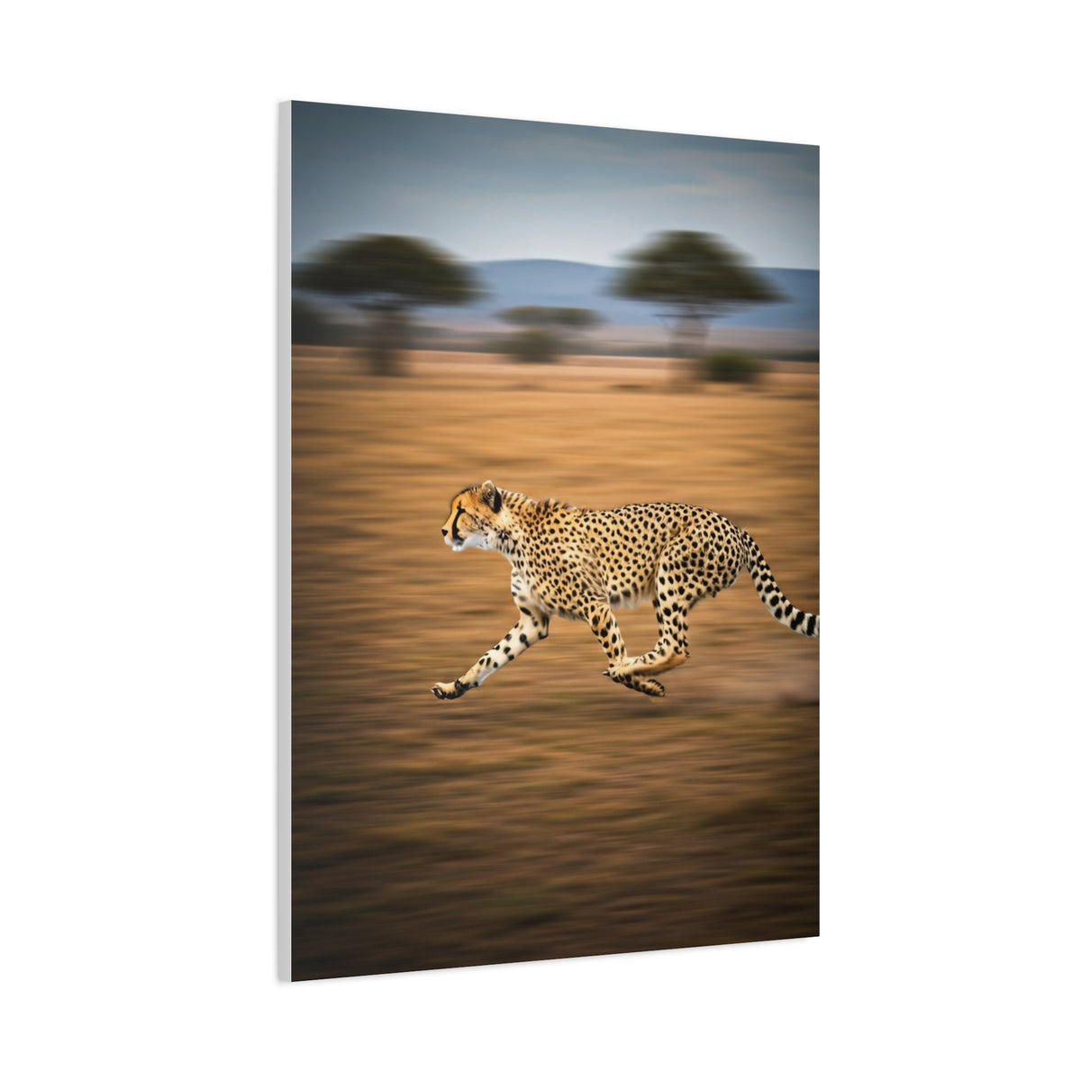 Cheetah Sprint Across the Desert Plains Wall Art & Canvas Prints