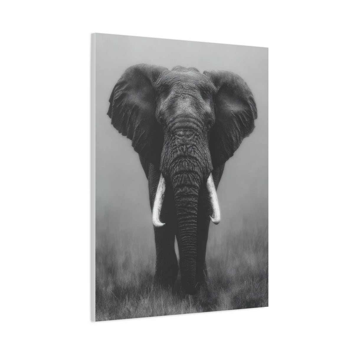 Black and White Elephant Portrait Wall Art & Canvas Prints