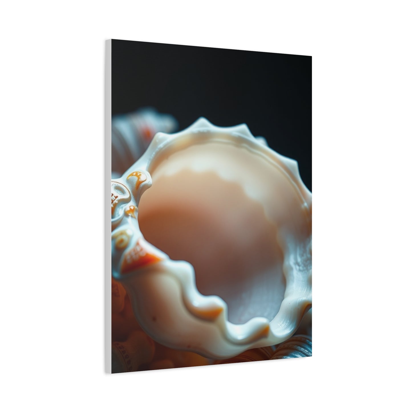 Shells Art Luxury Canvas Wall Art & Canvas Print