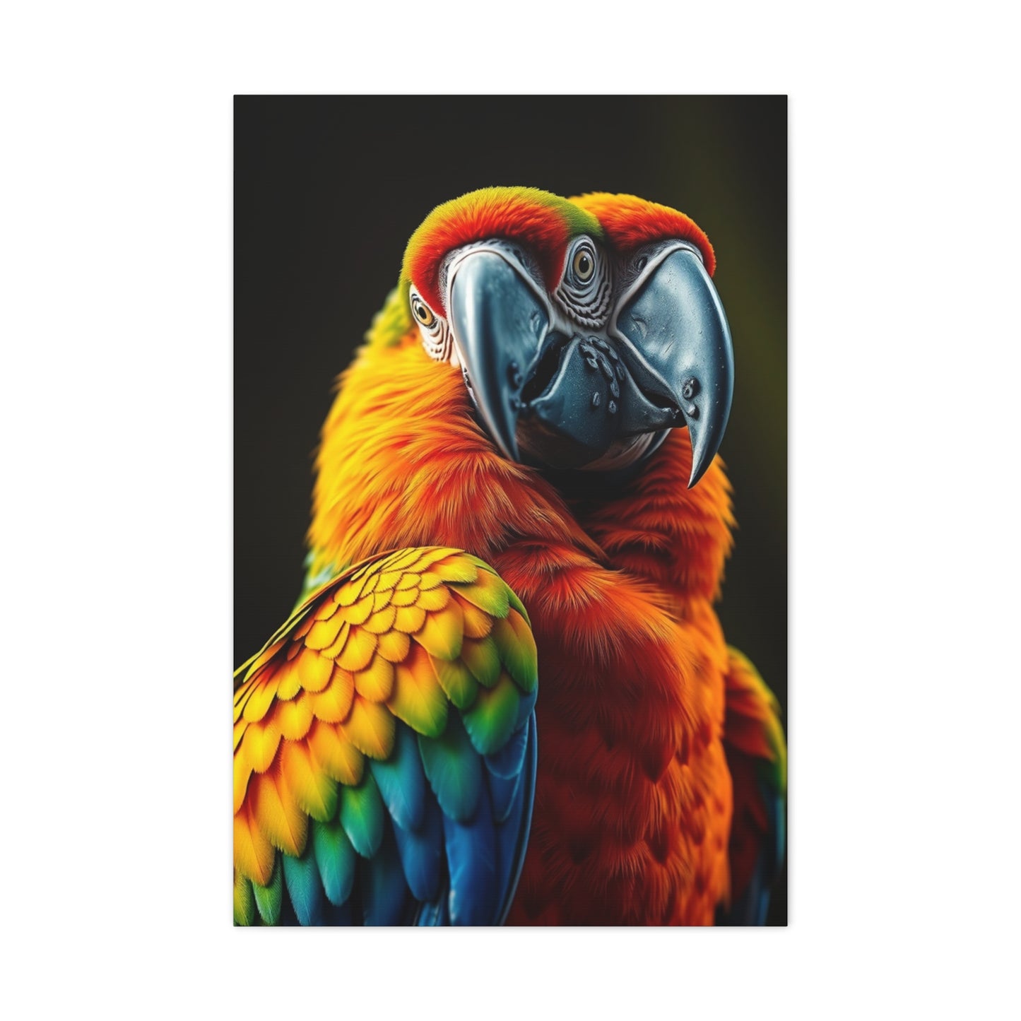 Supreme Parrot Art Wall Art & Canvas Print