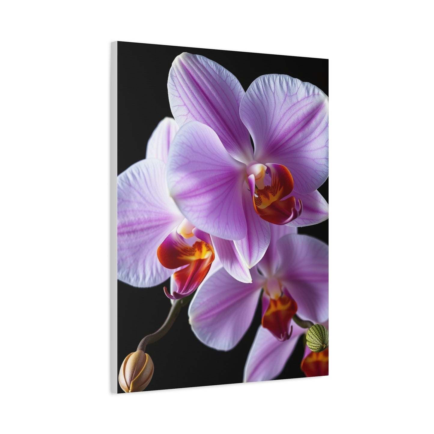 Orchid Flower Art Luxury Canvas Wall Art & Canvas Print