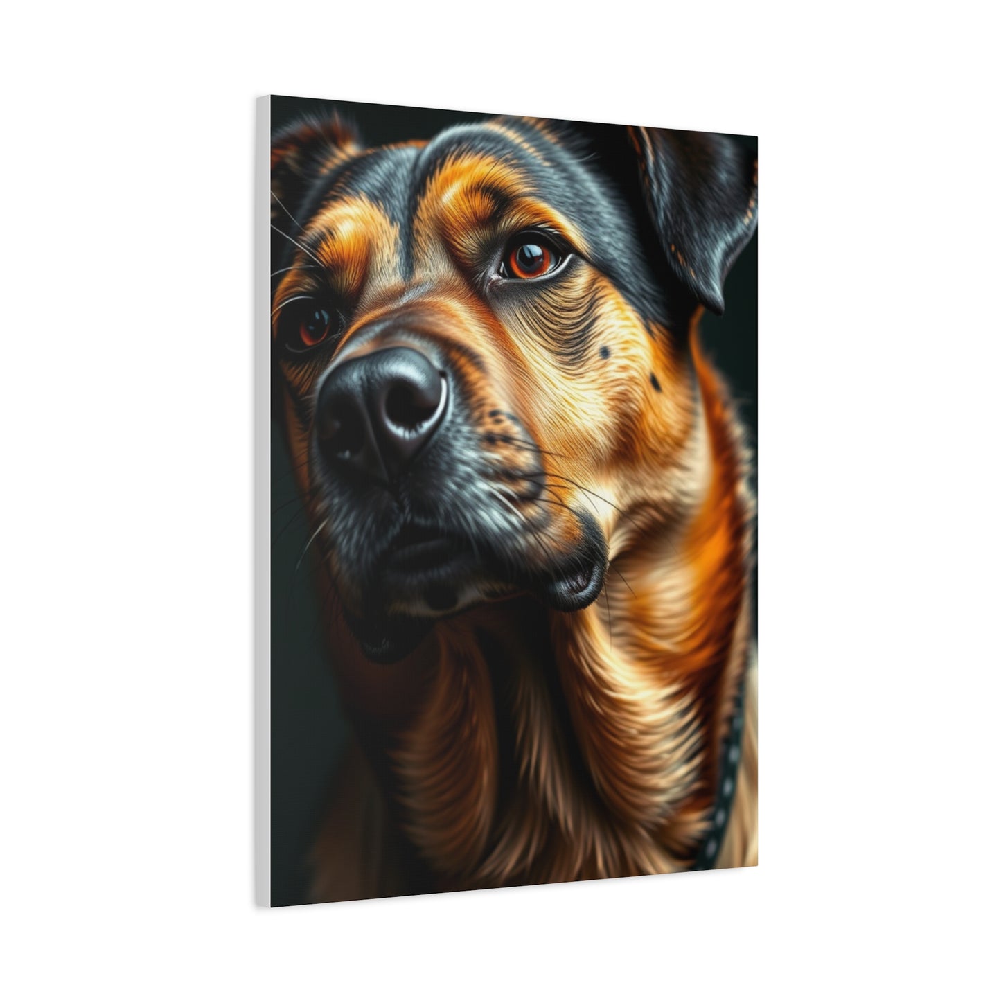 Black and Tan Art Supreme Canvas Wall Art & Canvas Print