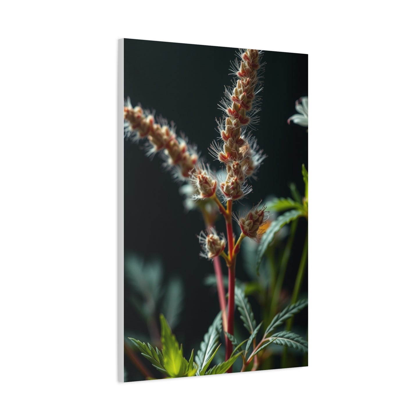 Elite Herb Art Vision Wall Art & Canvas Print
