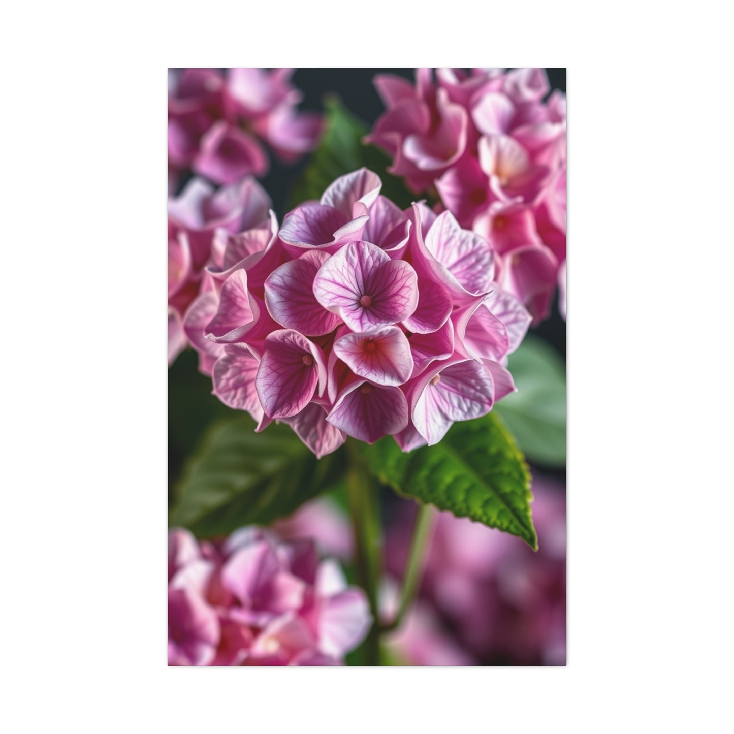 Supreme Hydrangea Flower Art Wall Art & Canvas Print