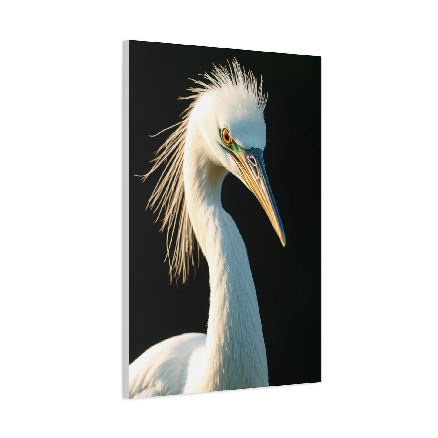 Collection Egret Art Wall Art & Canvas Print