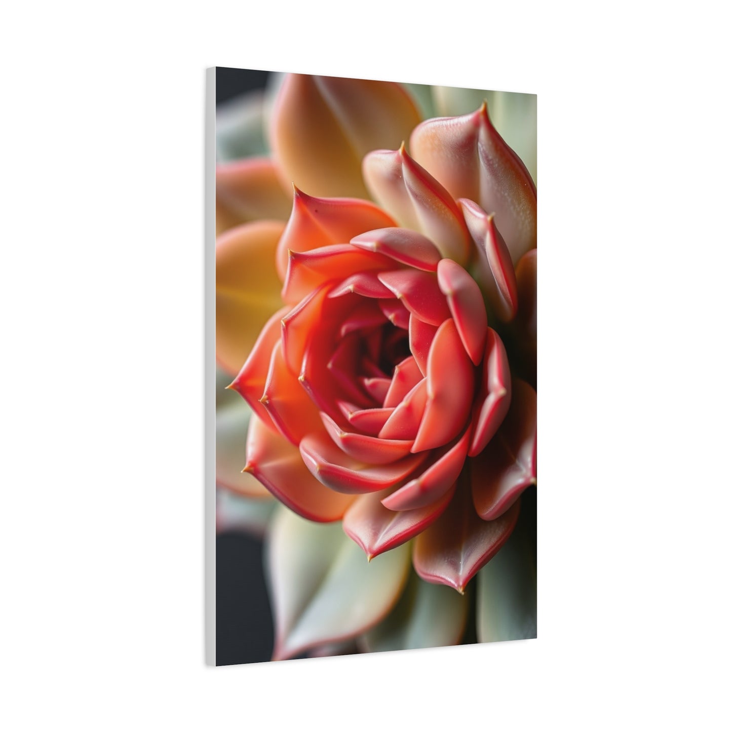 Elite Succulent Art Vision Wall Art & Canvas Print