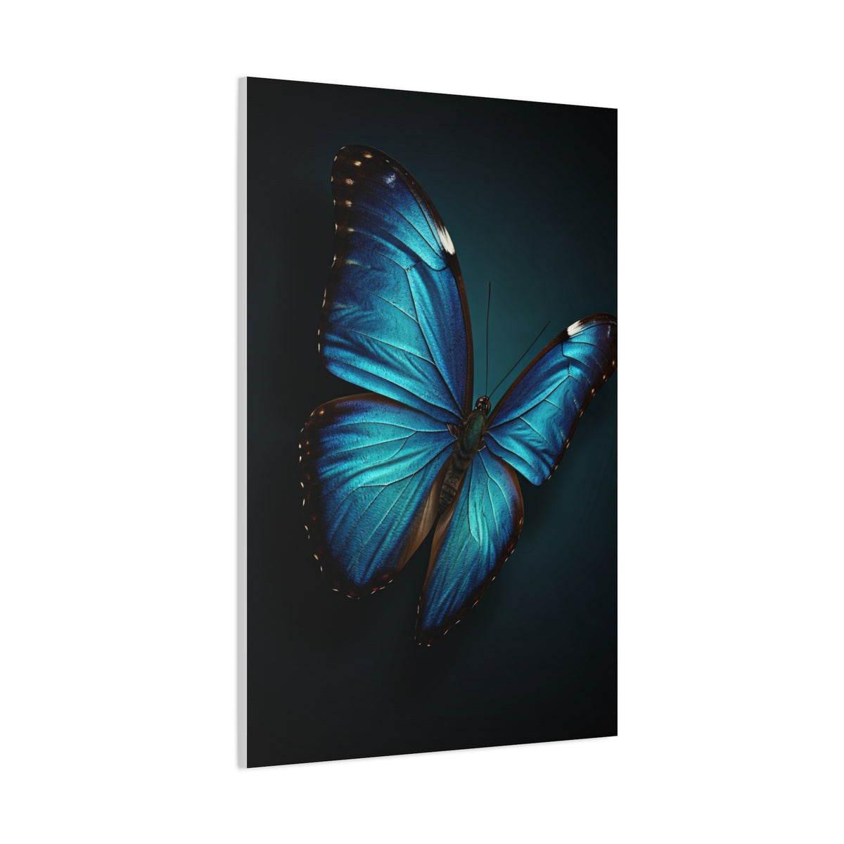 Blue Morpho Butterfly Wings Spread Wall Art & Canvas Prints