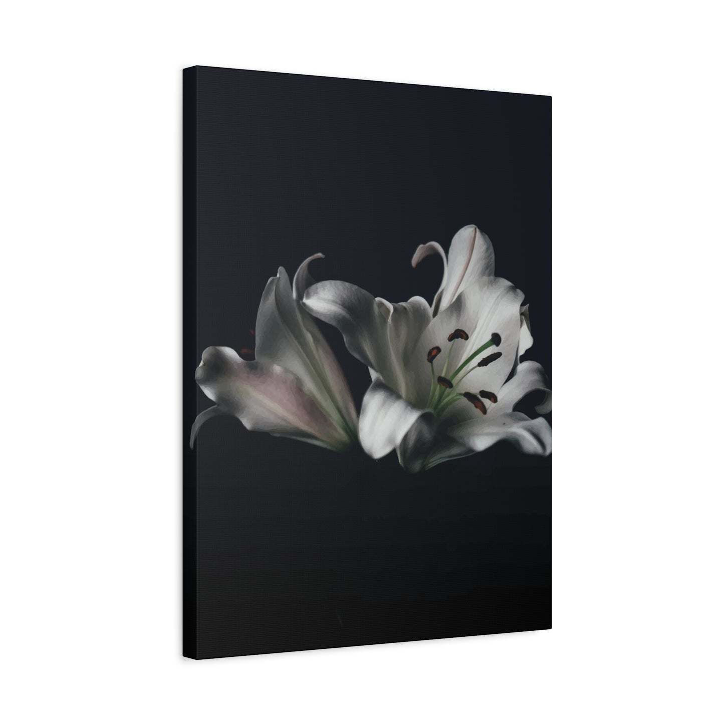 Black Flower Wall Art & Canvas Prints